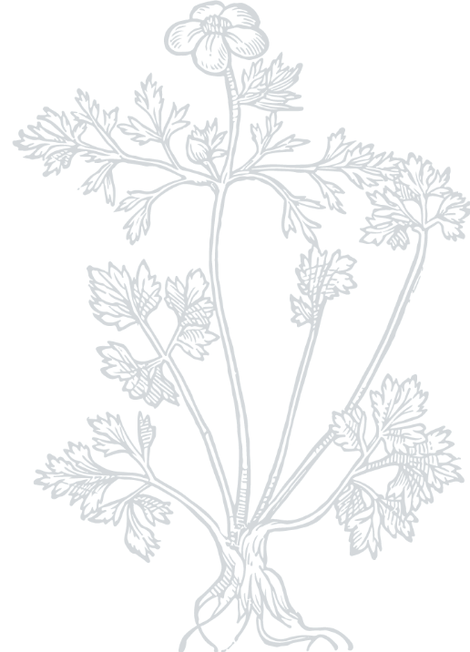 cms.image